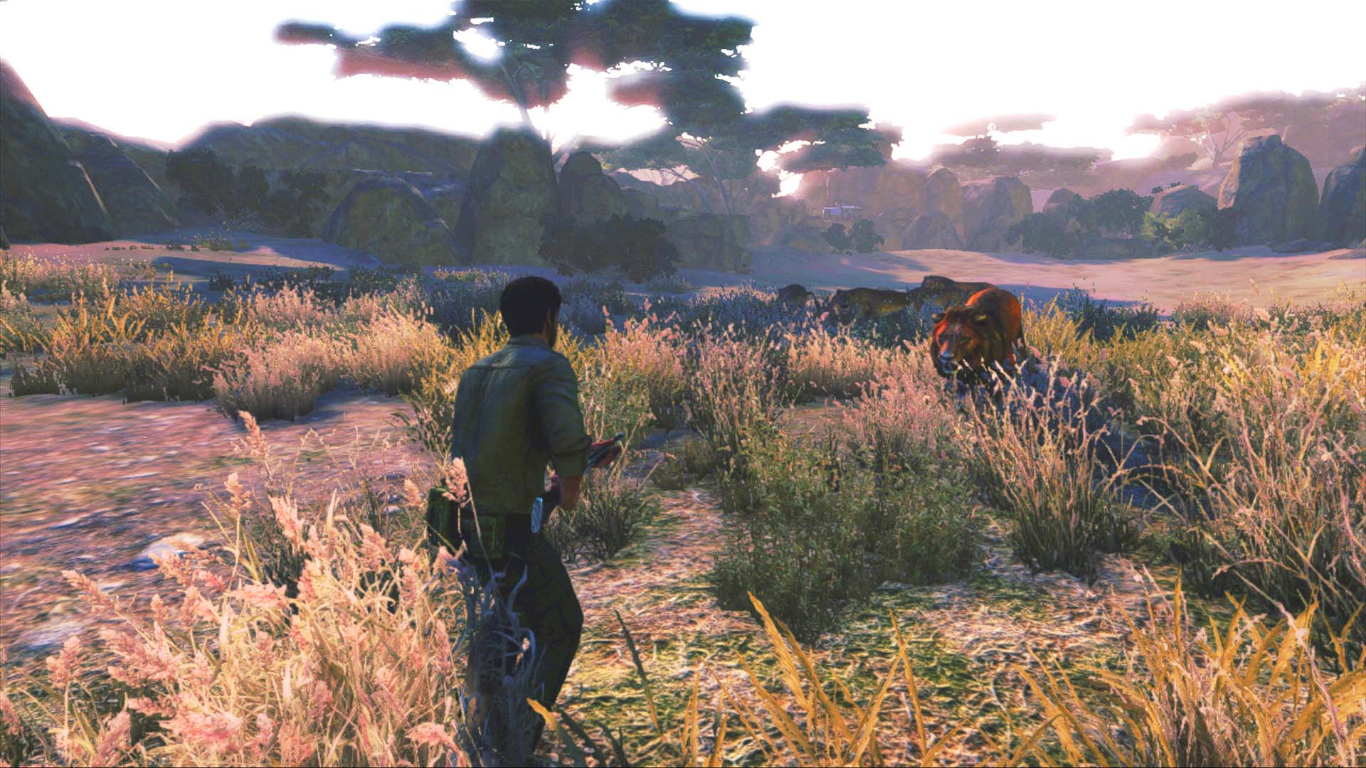 Image 30847
