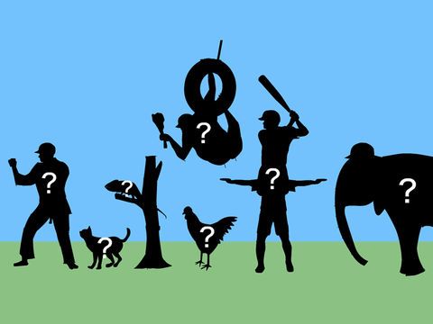 Crazy Batting Center