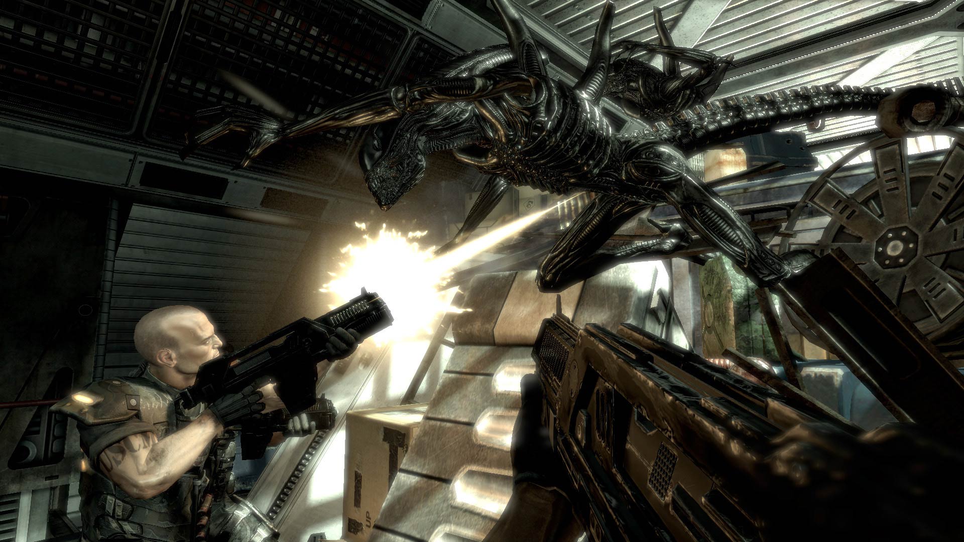 Aliens vs. Predator (2010)