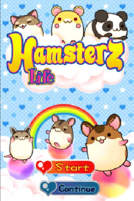 Hamster life