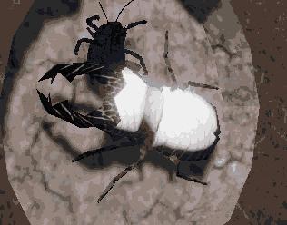 ArcHive (bpremus, Deezaath, Alios)