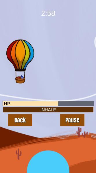 Hot-air Penguin Pair