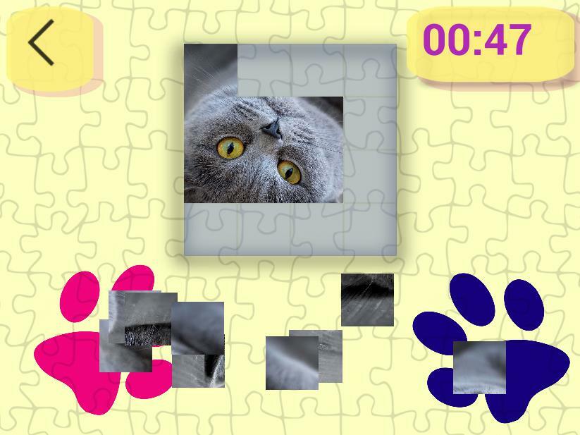 Ultimate Puzzles Cats