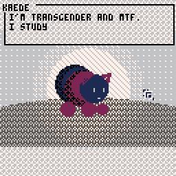 Interactive Portraits: Trans People in Japan