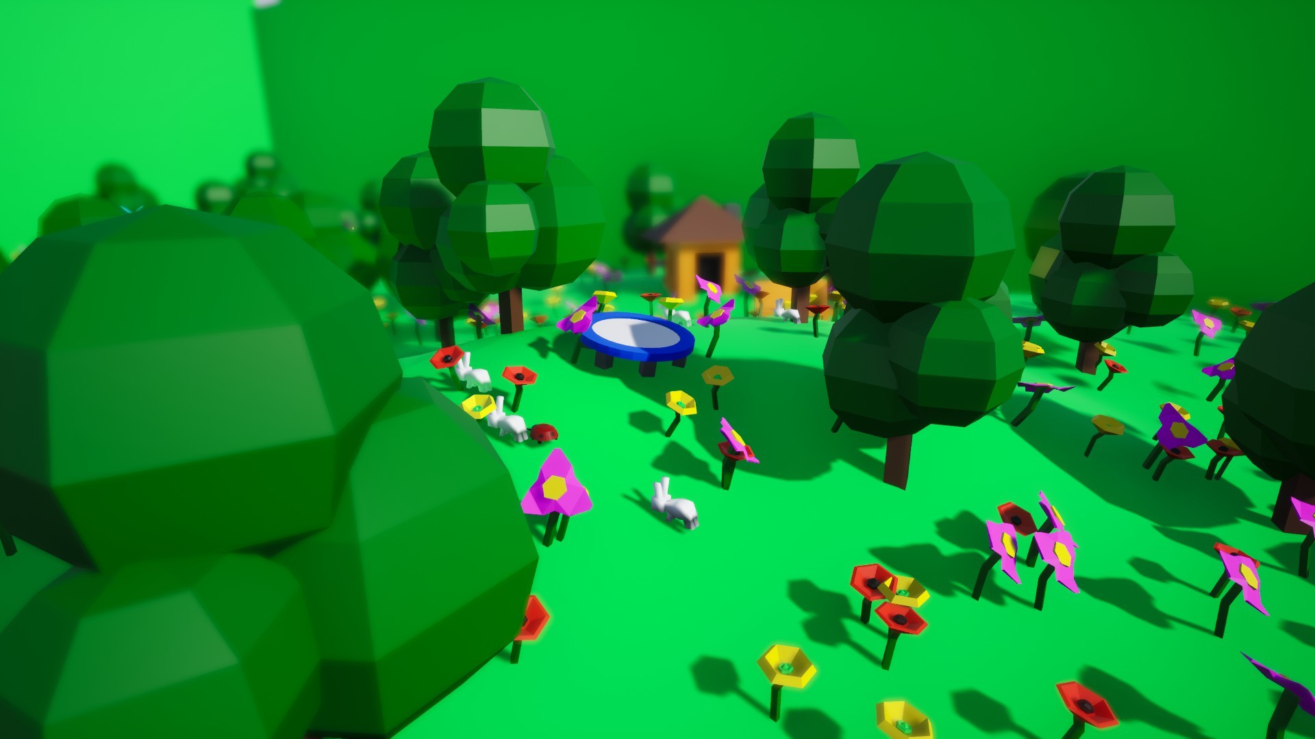 Joanie's Adventure (Preview)