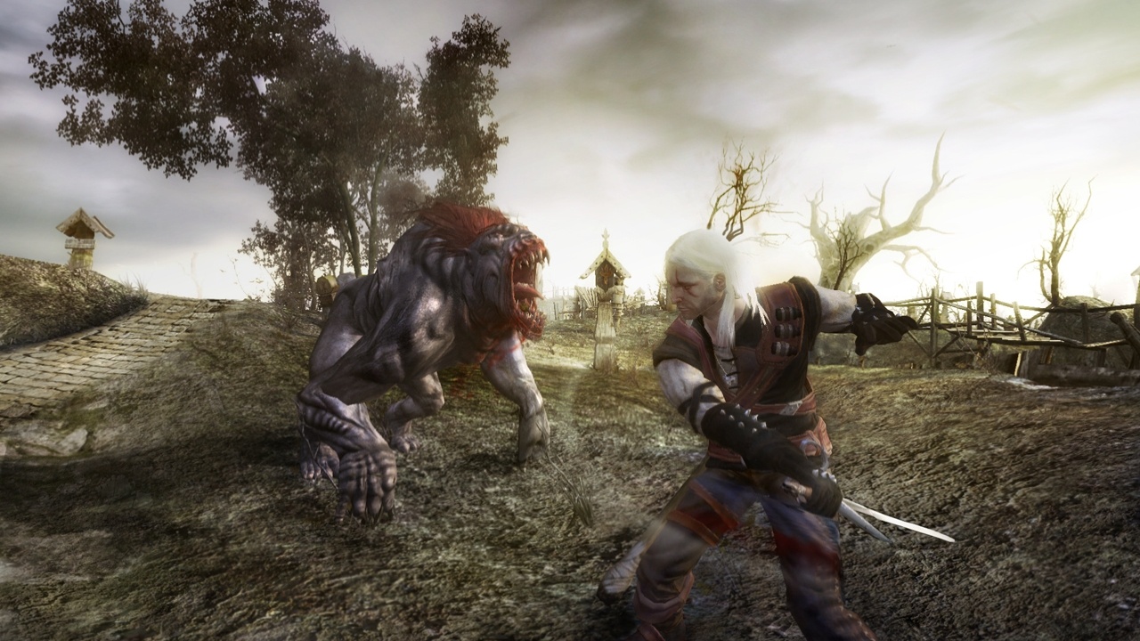 The Witcher: Rise of the White Wolf, Witcher Wiki