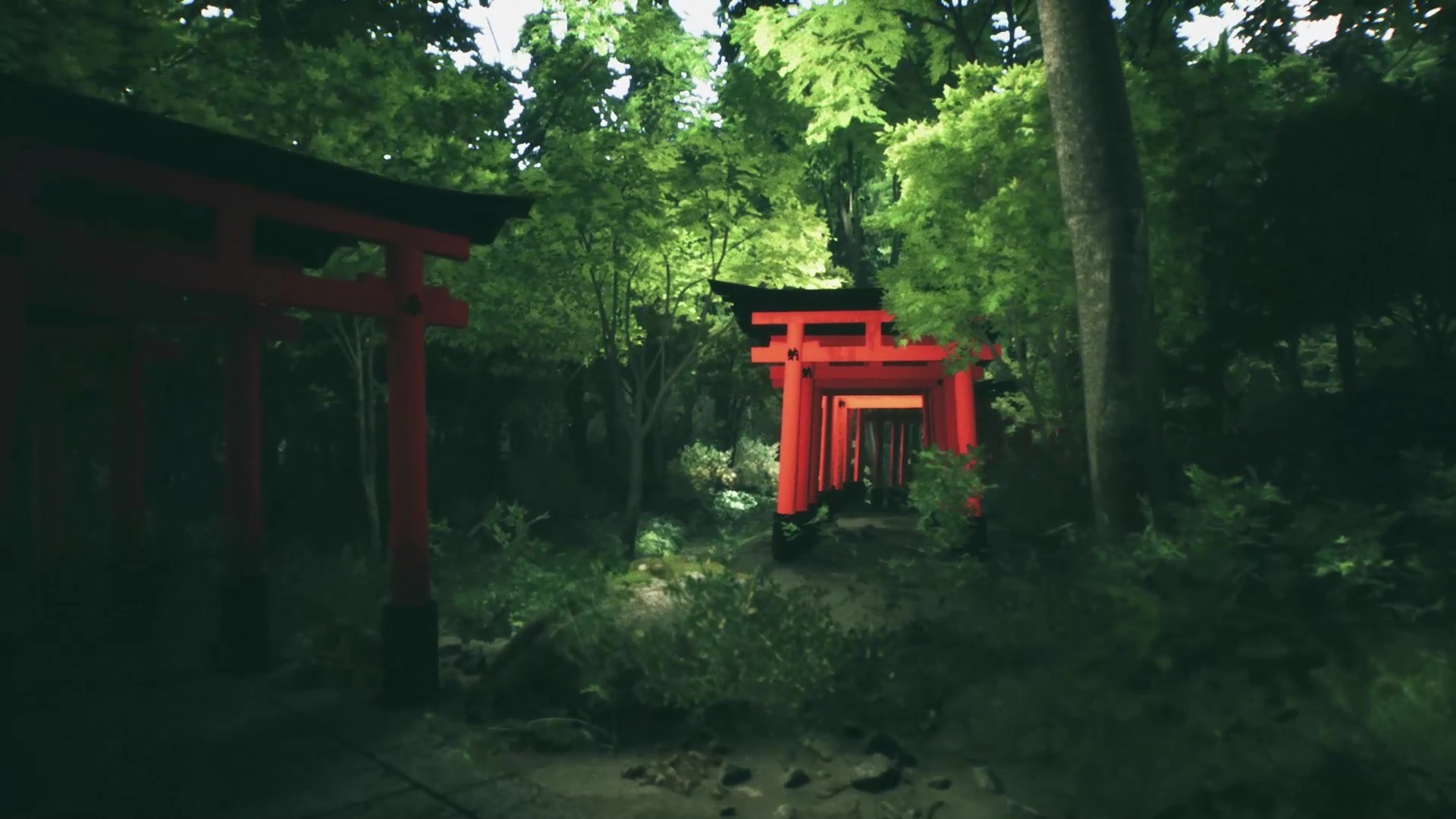 Explore Fushimi Inari