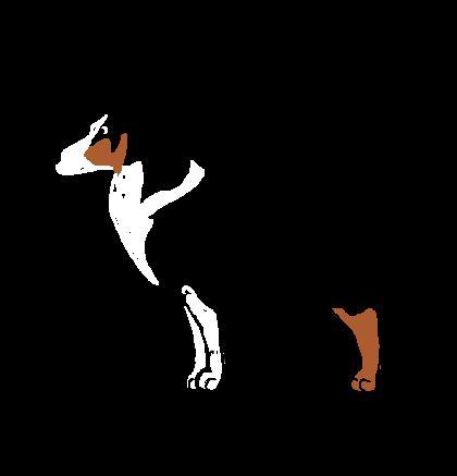 Juno's Hunt For The Toy Moose