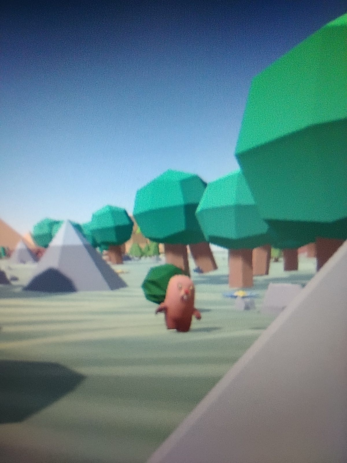 The development of the 'human world'