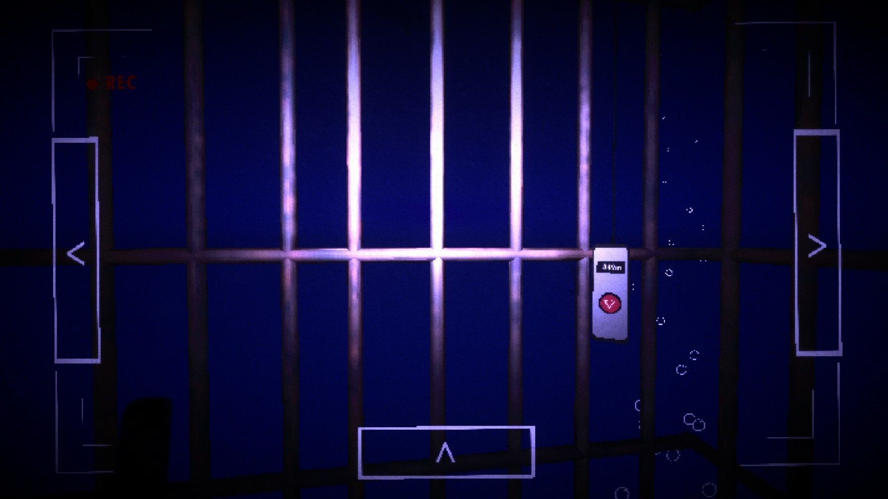 What Swims Beneath Us.