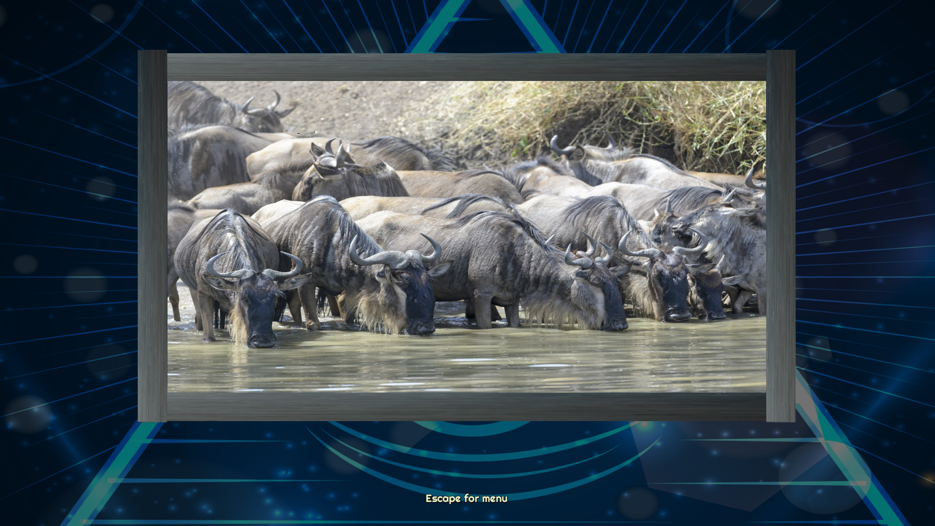 Trials of the Illuminati: Amazing Wildlife Jigsaws