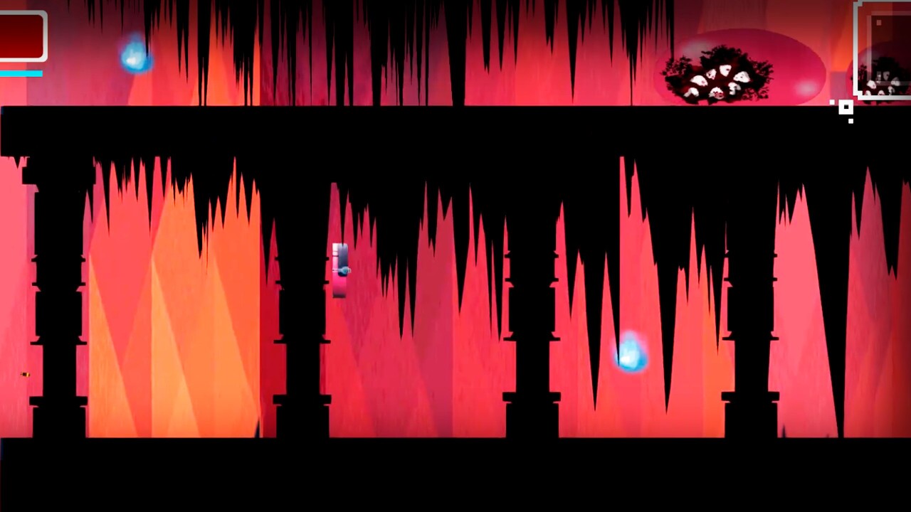 Image 3188037