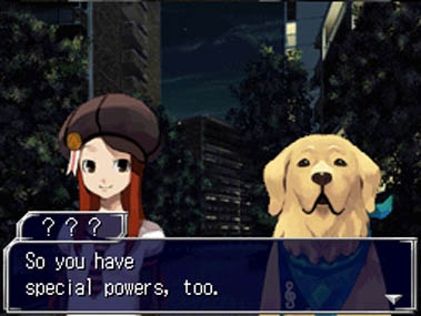 Image 247524