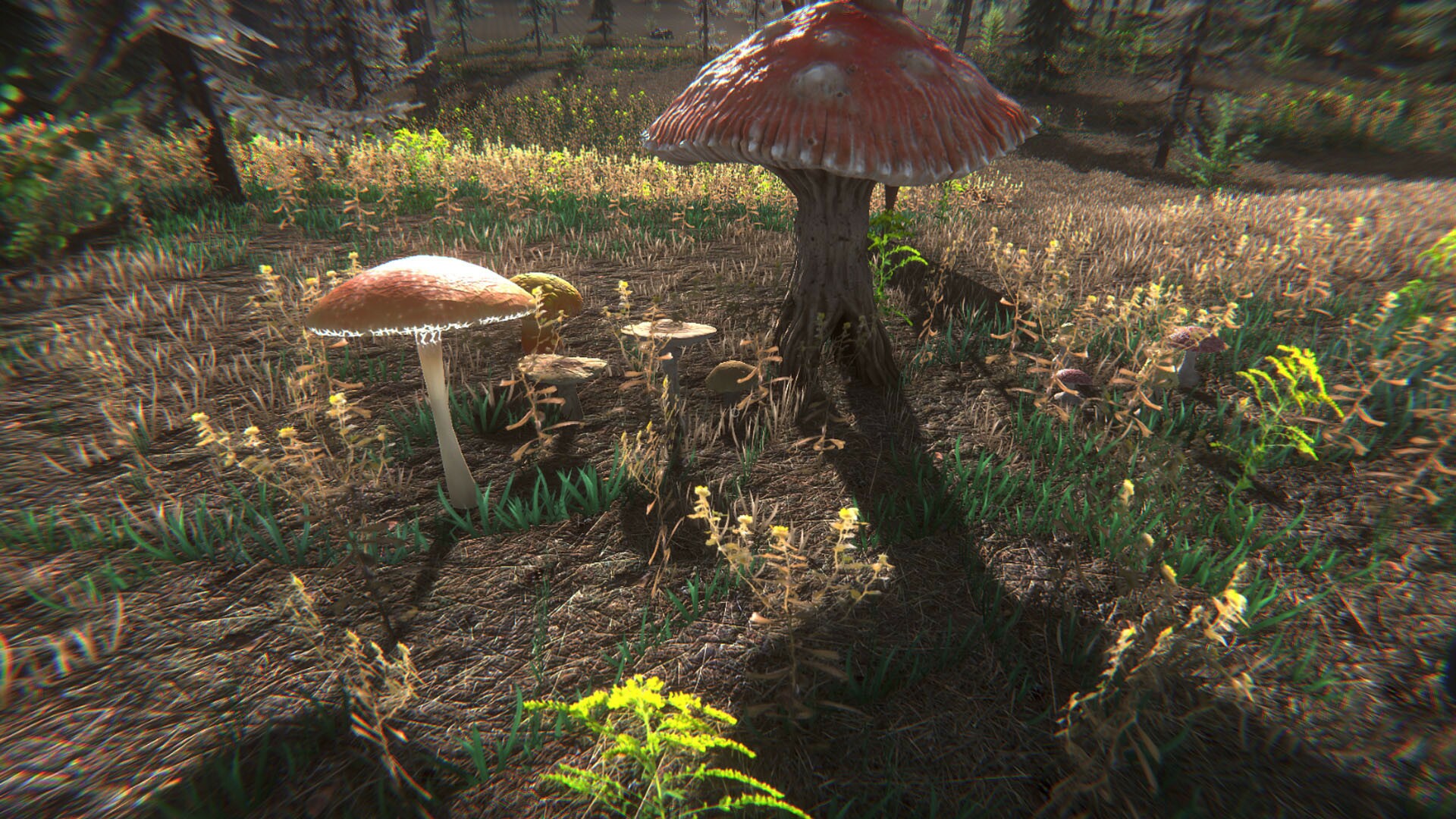 Legend of mushroom промо. Mushroom игра на ПК. The Forest игра грибы. Машрумс утопия грибы. Mushroom Core Эстетика.