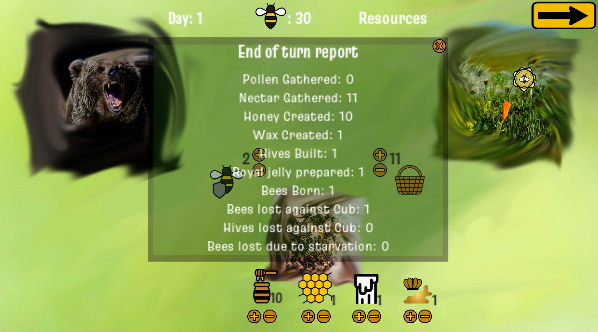 Bees & Bears