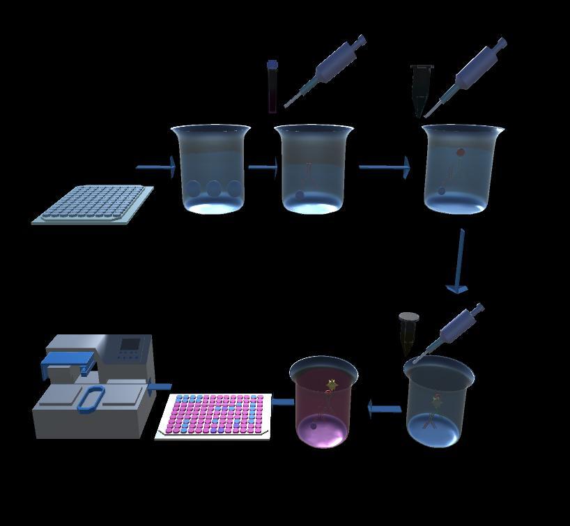 5.1 Working and Operation of ELISA