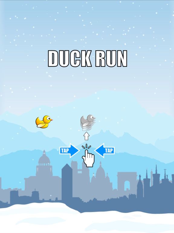 Duck Run - Flappy Bird Fun!