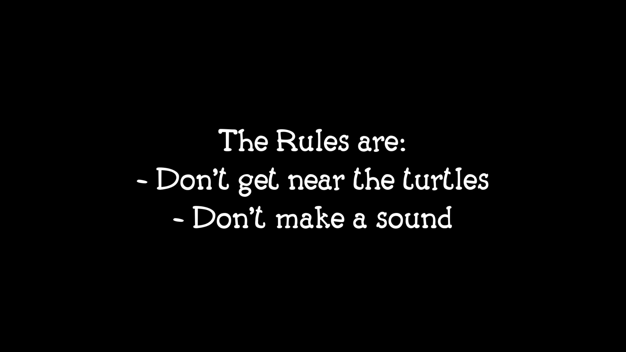 Don't Wake The Turtle