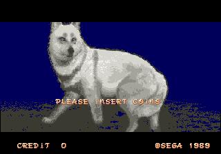 Image 749840