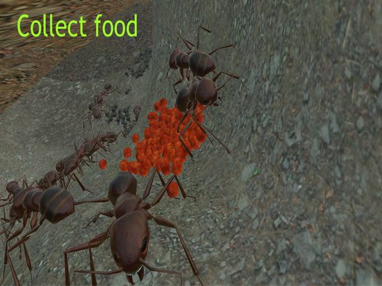 Ant Simulator 3D
