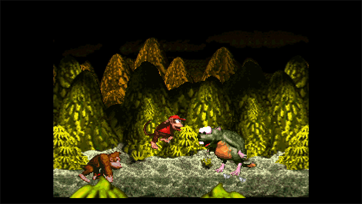 Donkey Kong Country