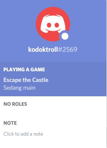 Escape the Castle (kodoktroll)