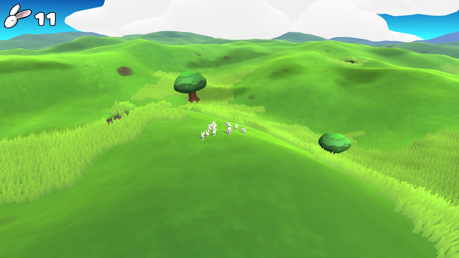 The Great Hide n Seek Expawdition