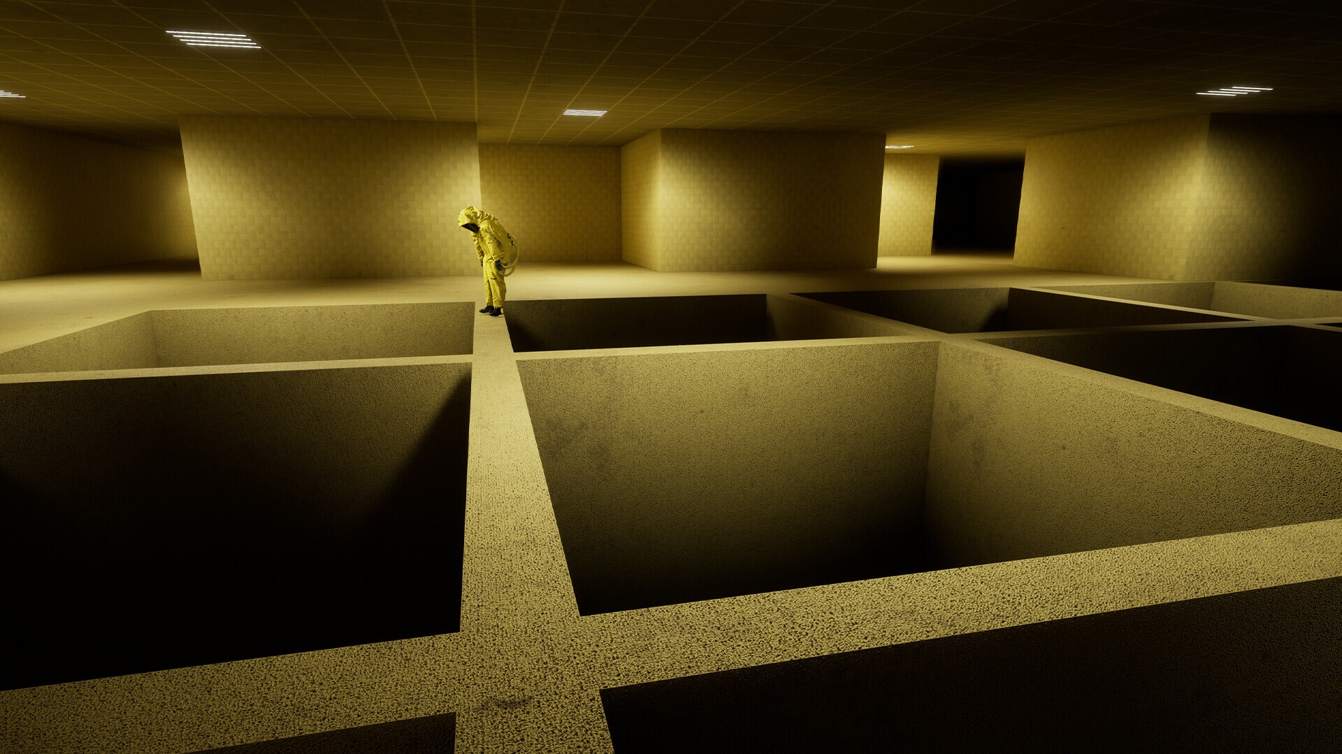 Image 3615204