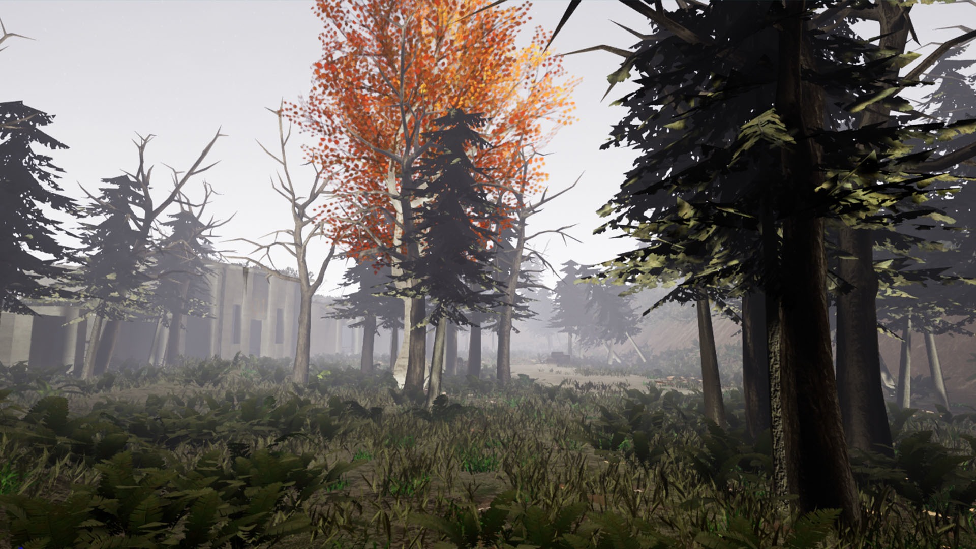 Nicole Smith - VR Experience