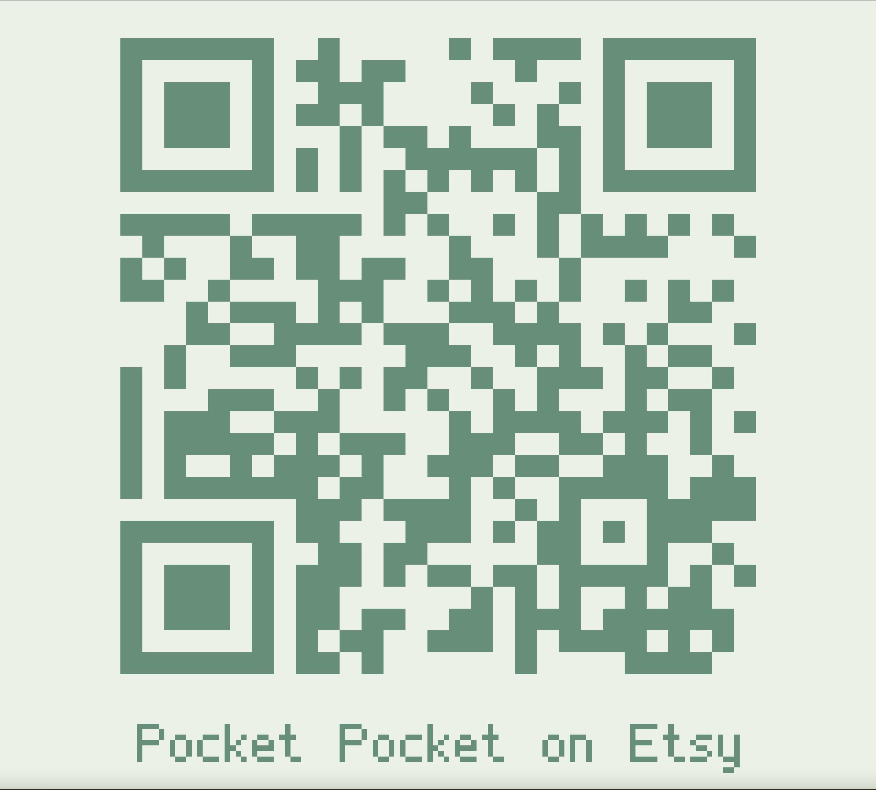 Analogue Pocket Pocket Companion