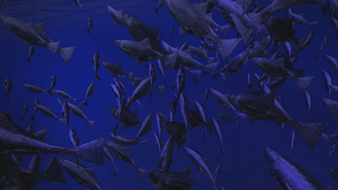 Be a Fish - VR Simulator