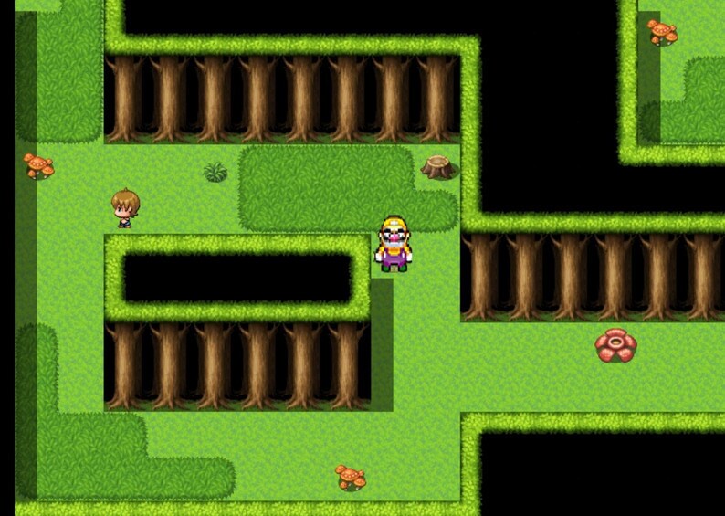 Wario in Generic RPG; 1st Anniversary Edition