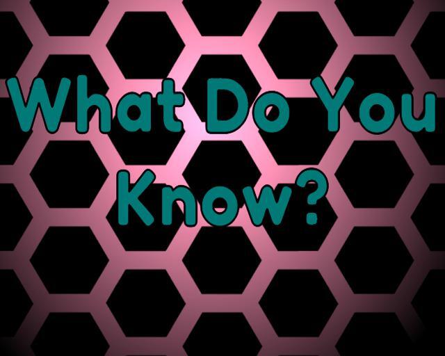 What Do You Know? ( Ludum Dare Jam)