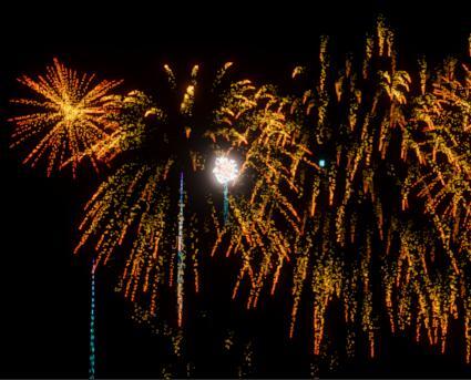 Firework Simulator