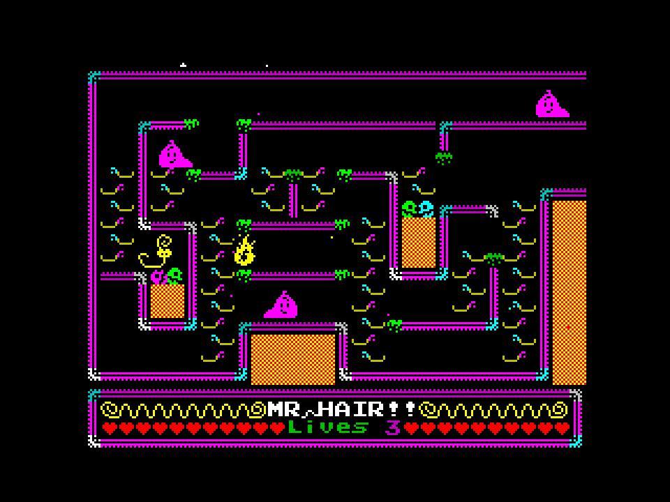 The Hair-Raising Adventures of Mr Hair