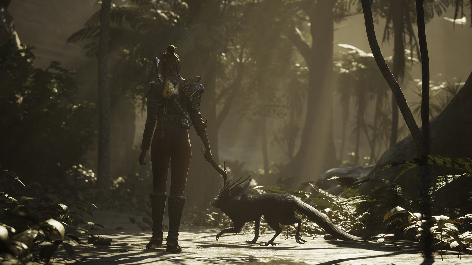 Image 3301651