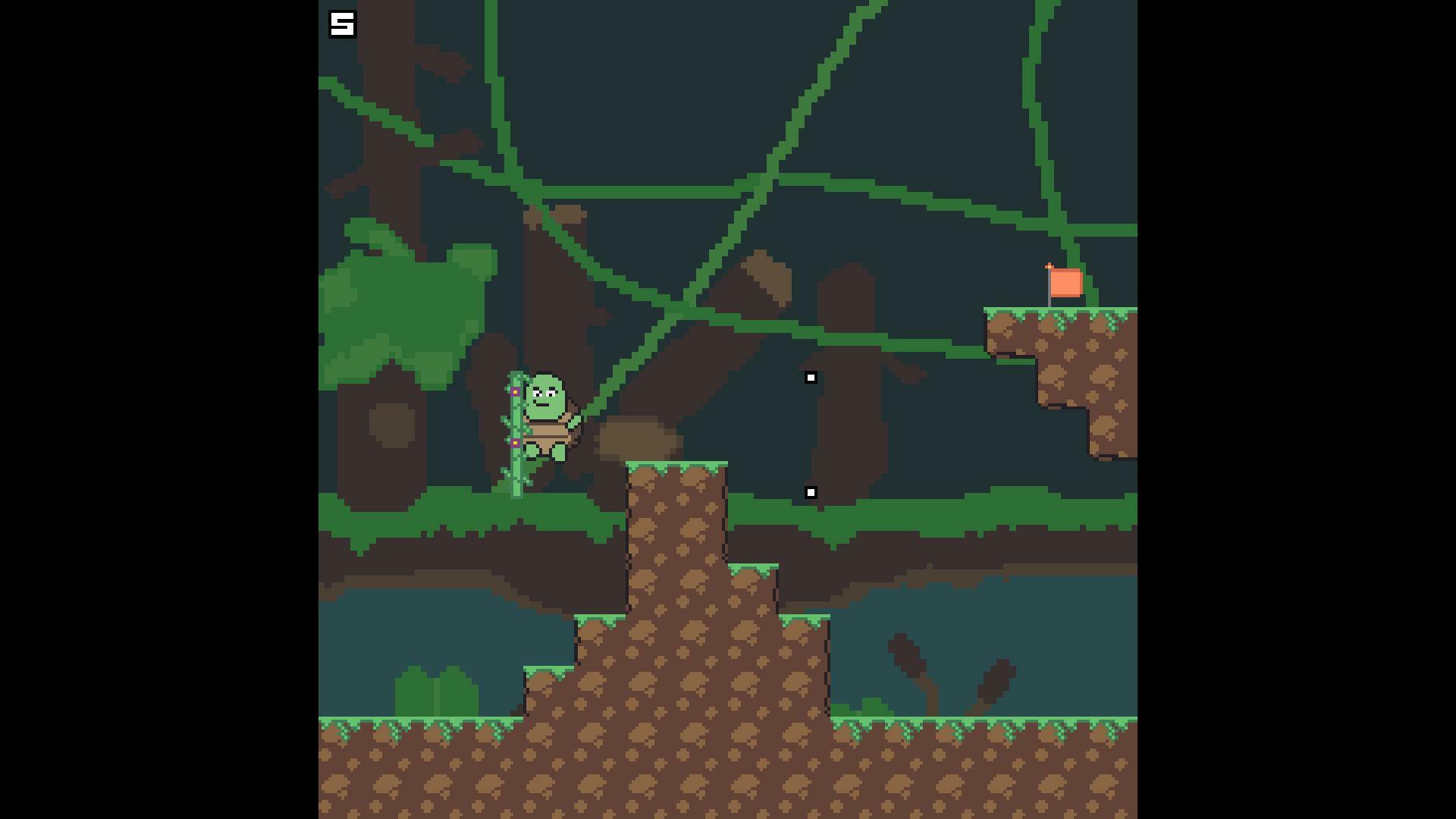 Tortoise and the Vine