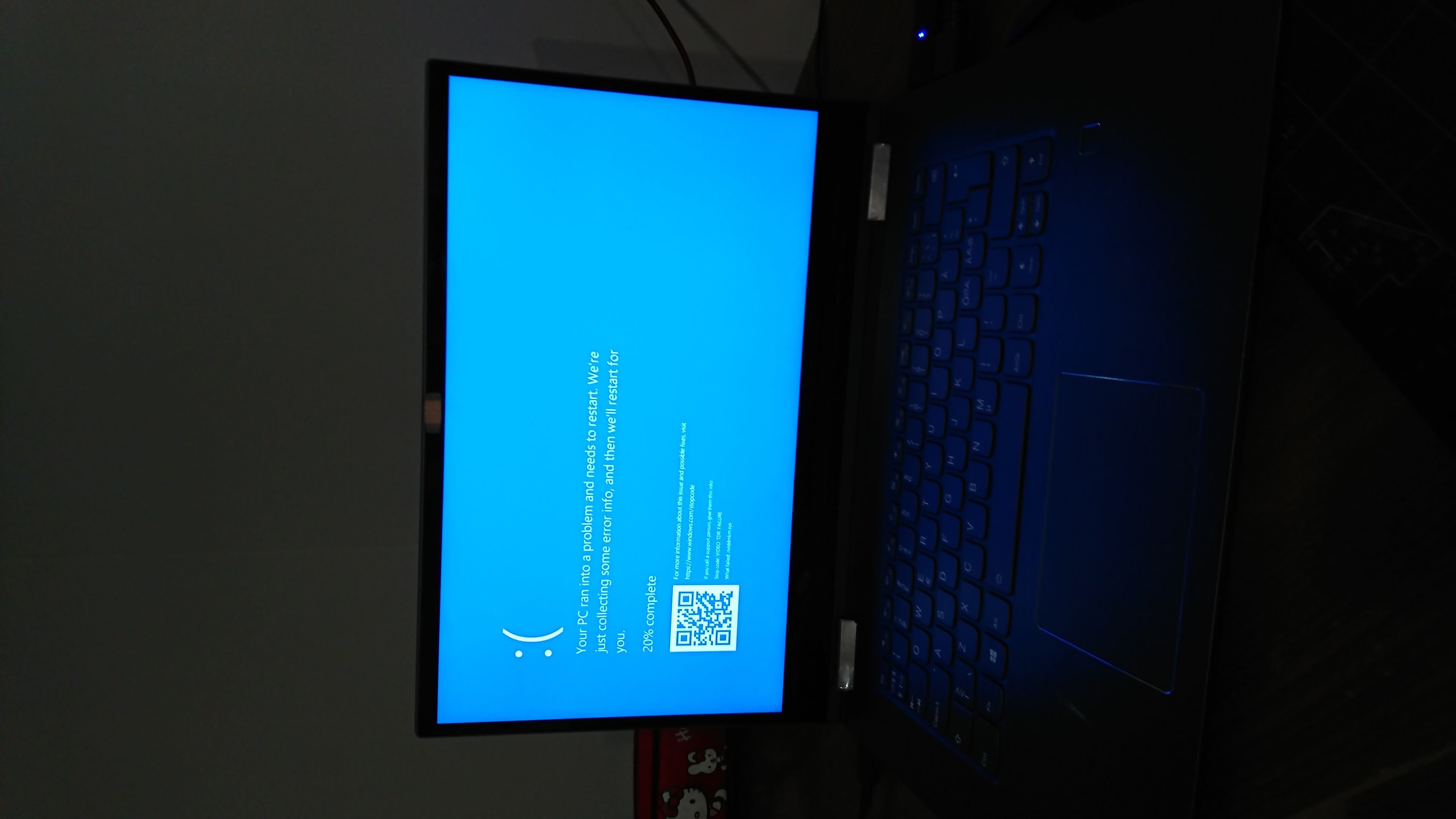 The Strongest Hedgehog