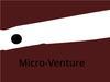 Micro-Venture