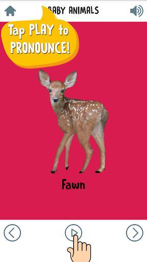 First Words for Baby: Animals