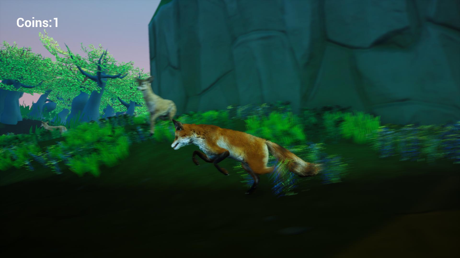 Fox Adventure: Mount Brae