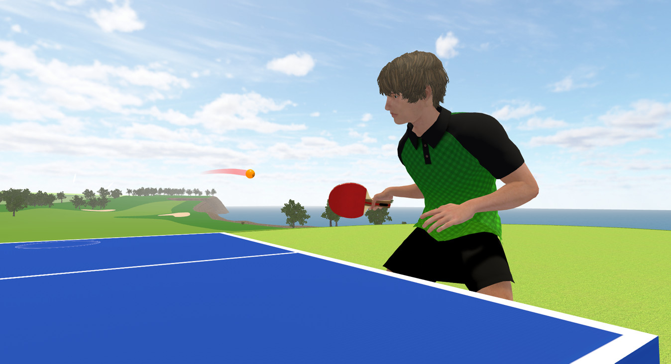 VR Ping Pong Paradise