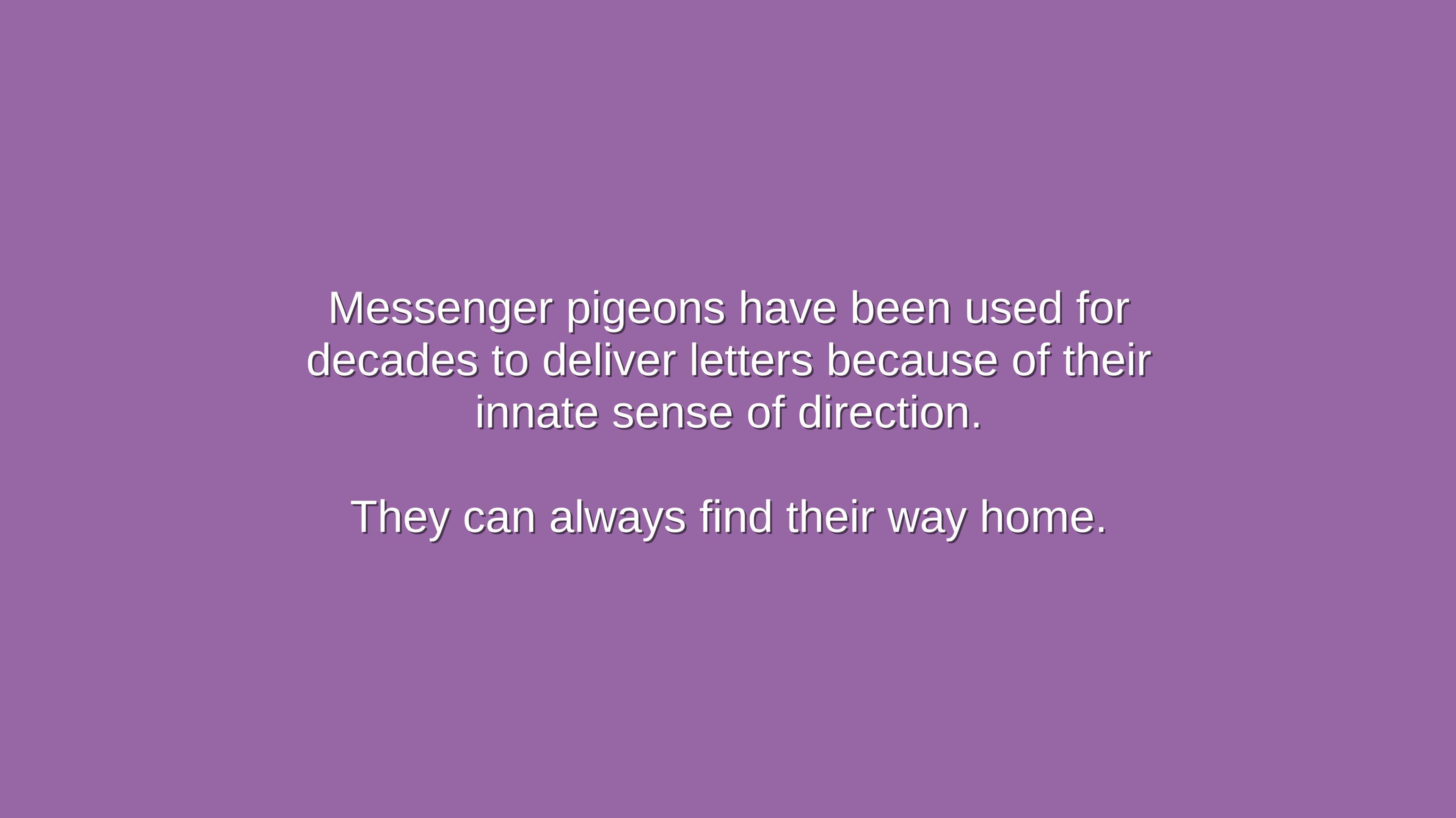 Homing (Pigeonkind Games)