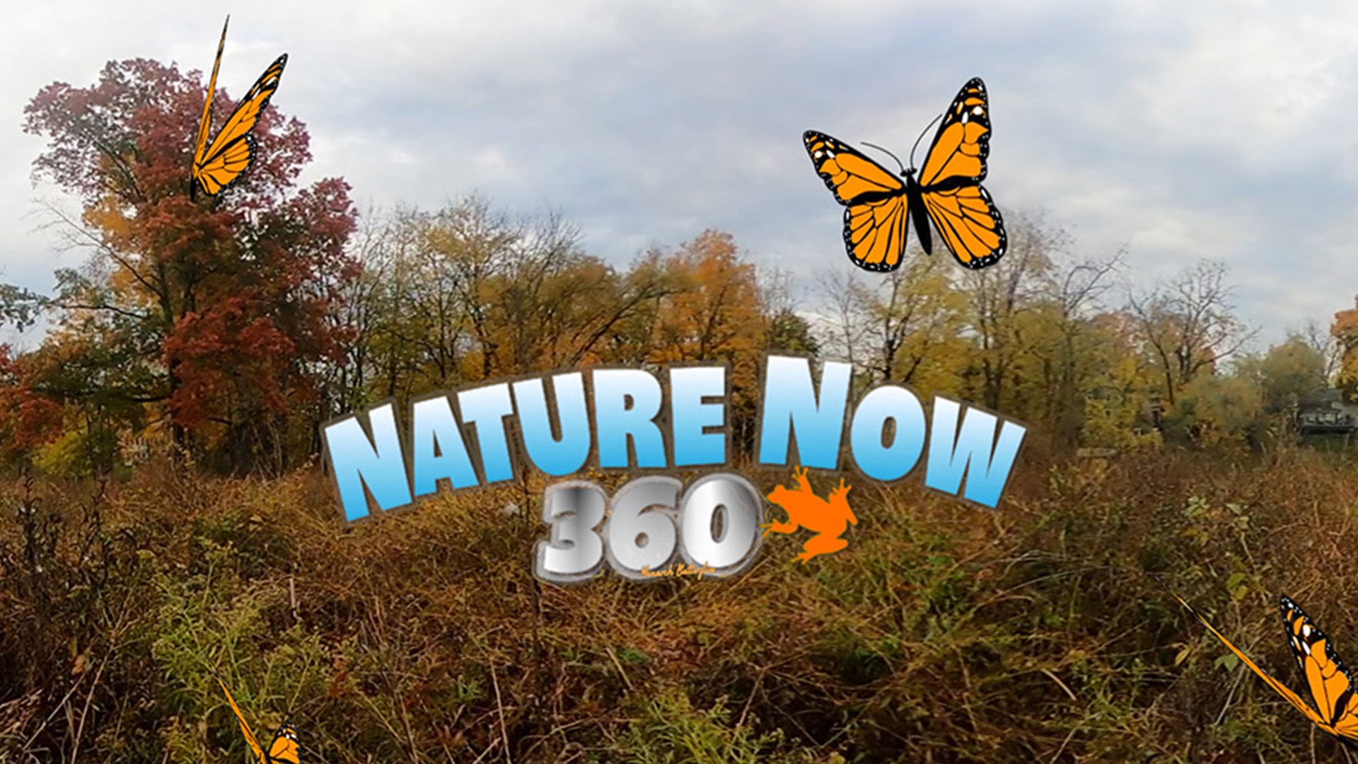 Release Pumpkin at VR