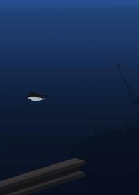 A la recherche du paradis blanc