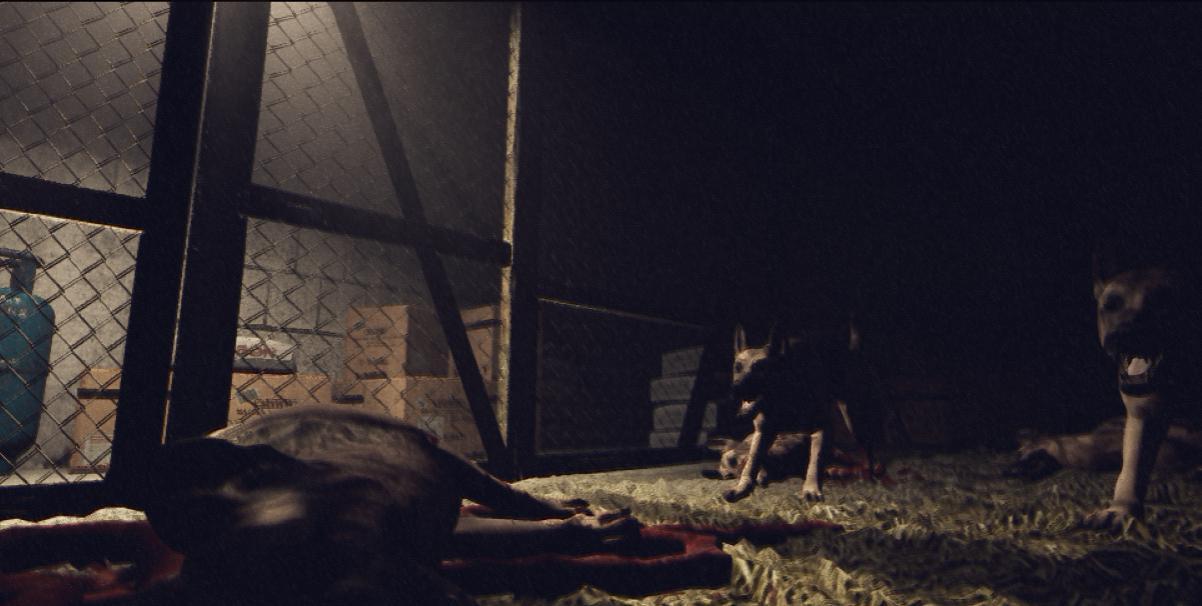 Image 3641837