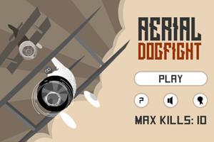 Aerail dogfight