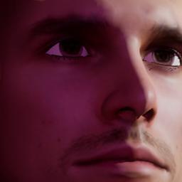 LUDWIG WANTS A MUFFIN