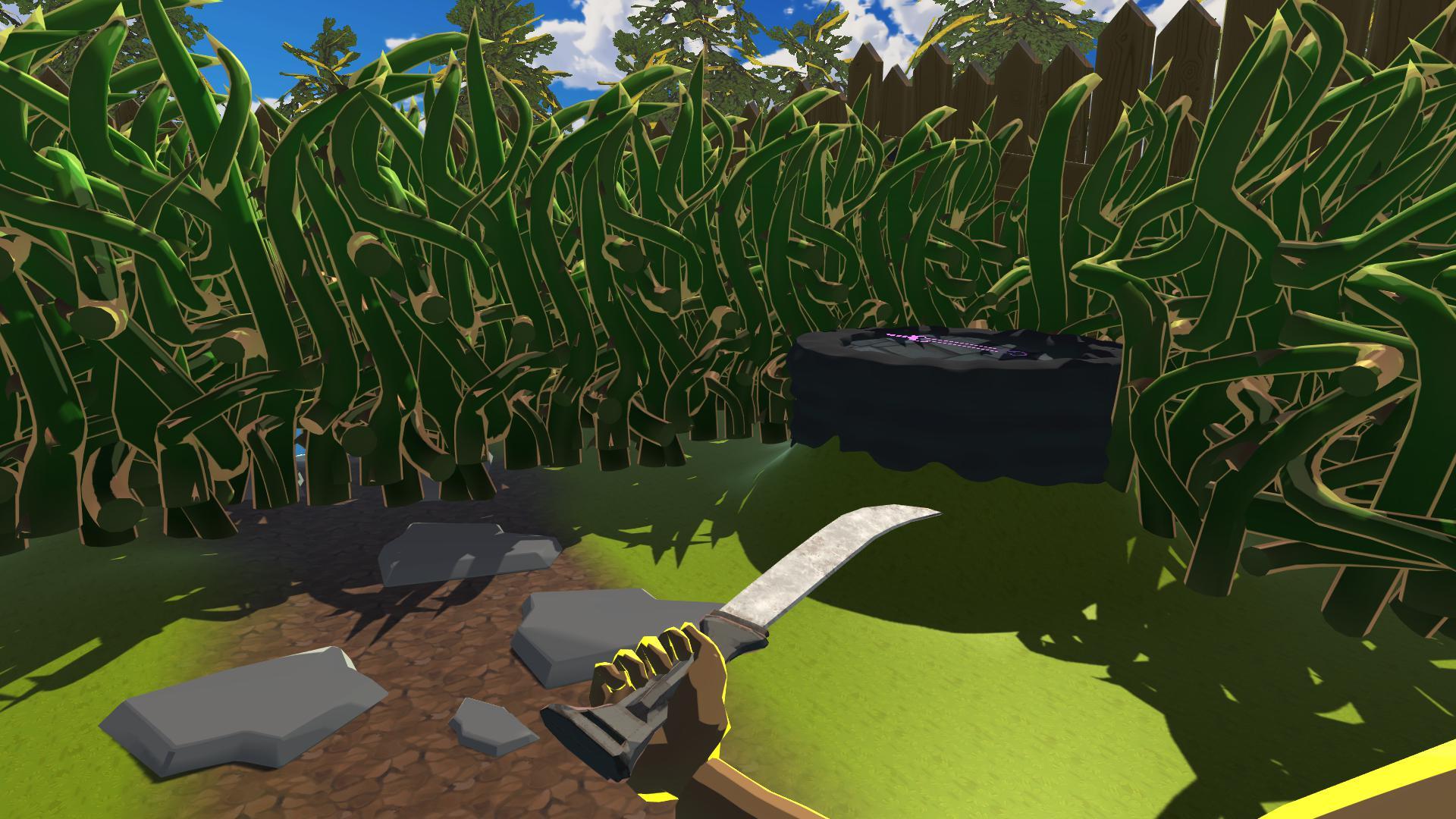 Image 3766034