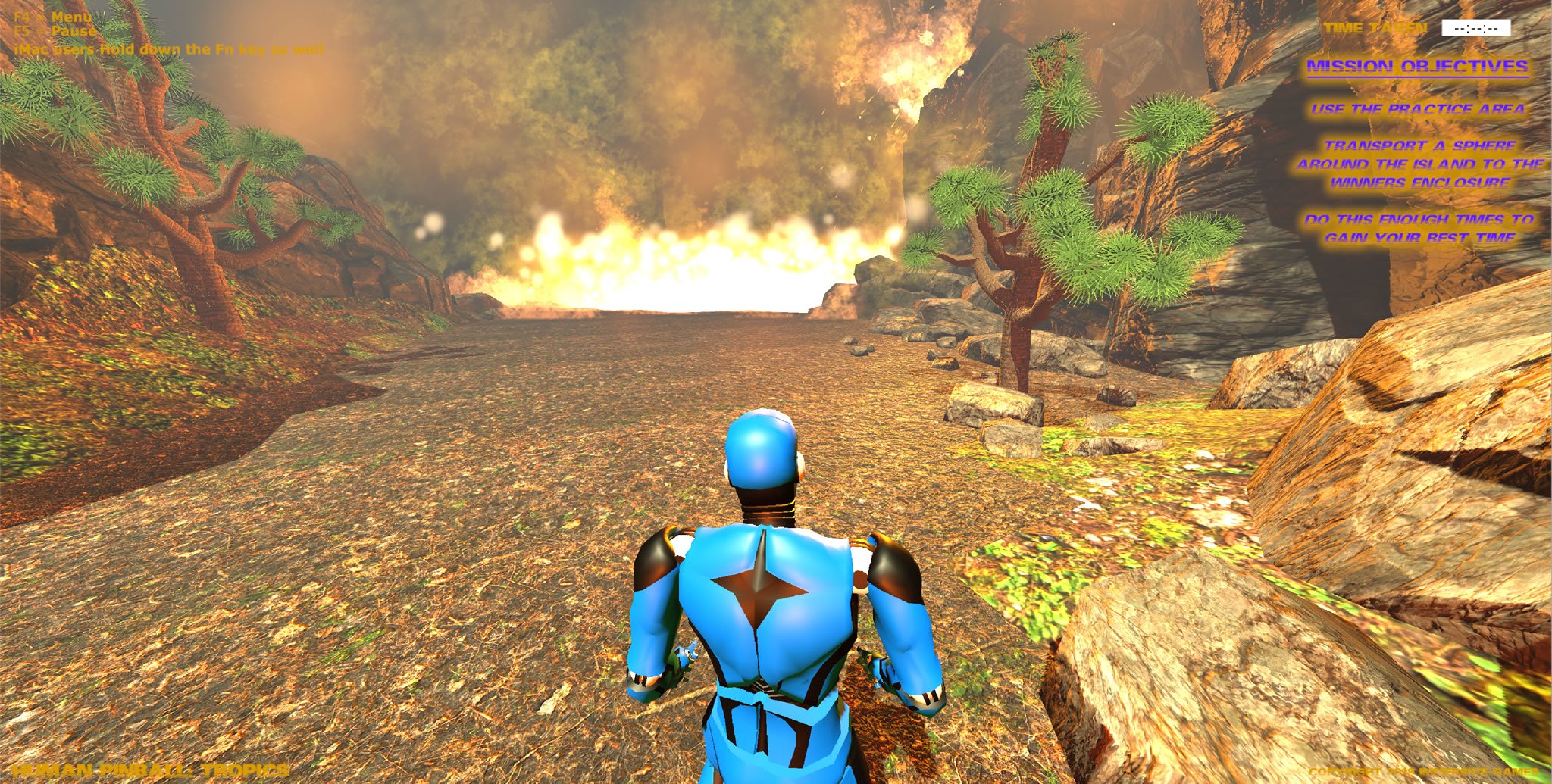 Human Pinball: Tropics